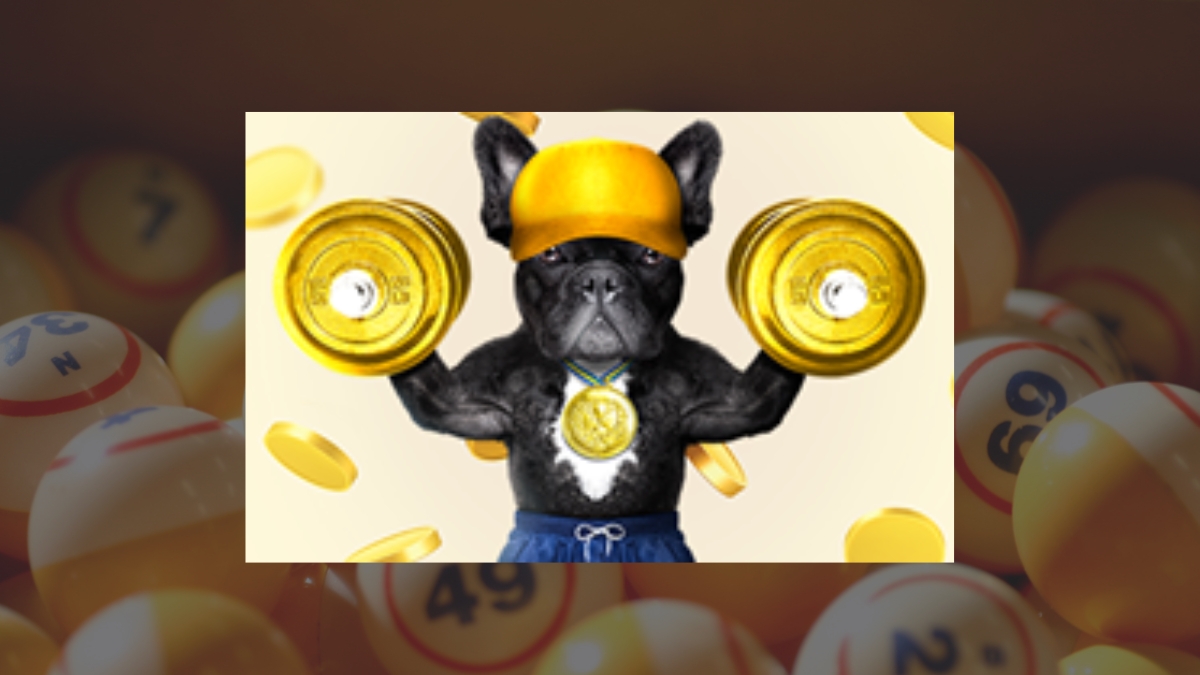 salas de bingo online